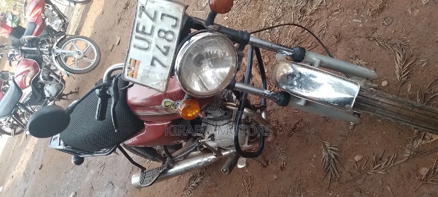 Yamaha FZ6 2017 Brown