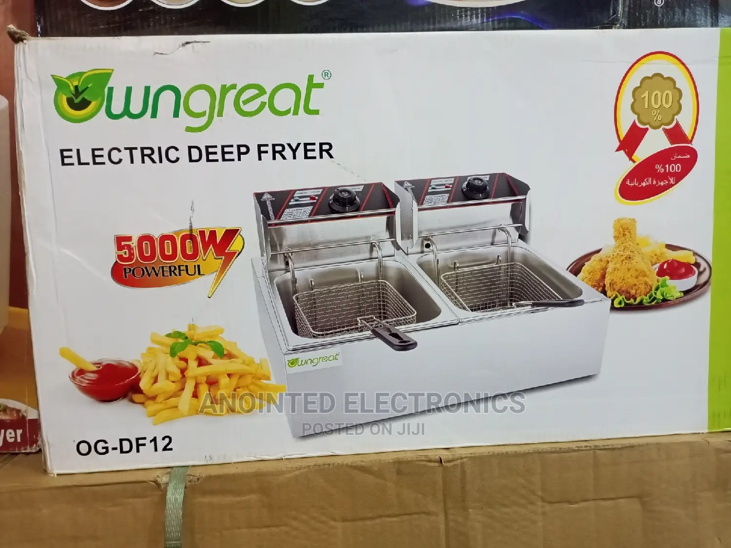 Win Great Double Deep Fryer
