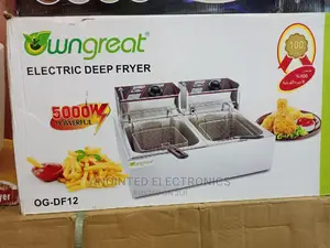 Win Great Double Deep Fryer