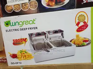 Win Great Double Deep Fryer