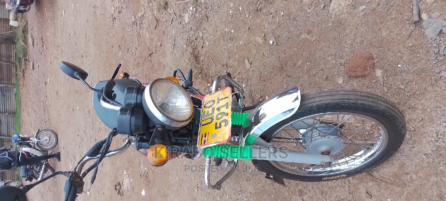 Bajaj Boxer 2019 Brown