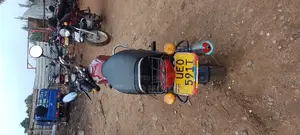 Bajaj Boxer 2019 Brown