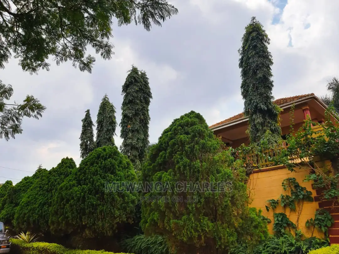 8bdrm Duplex in Fs Properties Ltd, Central Division for rent