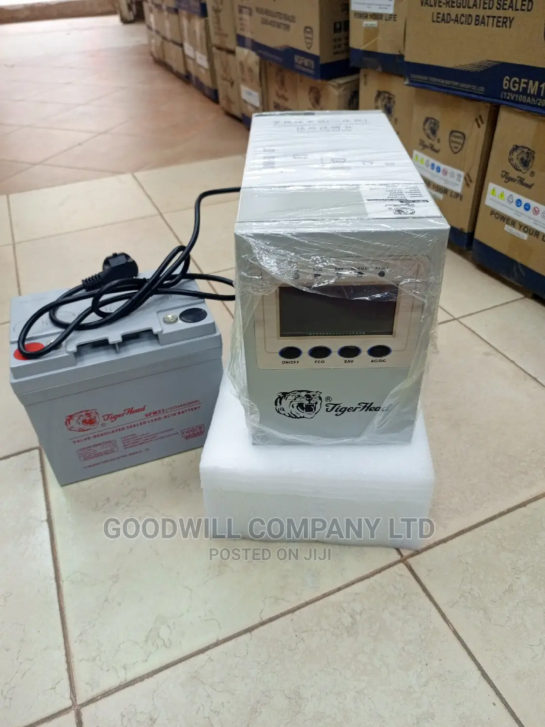 1000va Tiger Head Pure Sine Wave Inverter