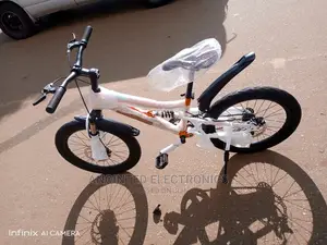 Adult Bike's