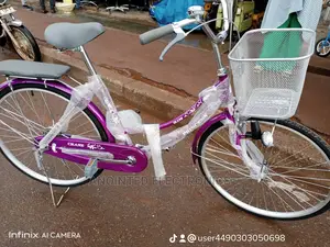 Adult Bike's