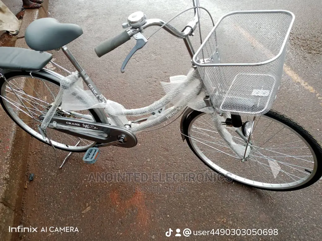 Adult Bike's