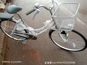 Adult Bike's