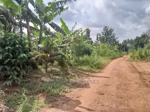 70acres of Land in Sanga Bumbale on Quick Sale