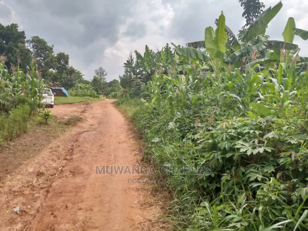 70acres of Land in Sanga Bumbale on Quick Sale
