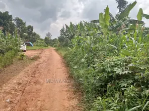 70acres of Land in Sanga Bumbale on Quick Sale