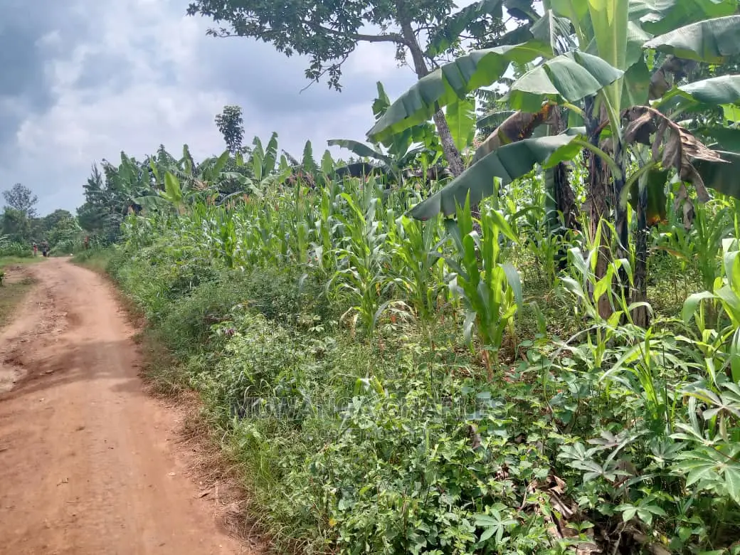 70acres of Land in Sanga Bumbale on Quick Sale