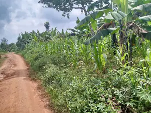 70acres of Land in Sanga Bumbale on Quick Sale