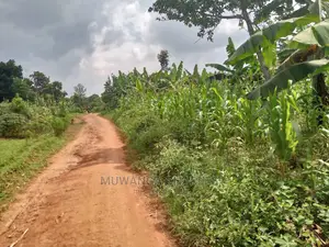 70acres of Land in Sanga Bumbale on Quick Sale