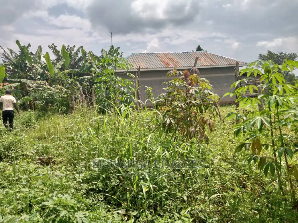 70acres of Land in Sanga Bumbale on Quick Sale