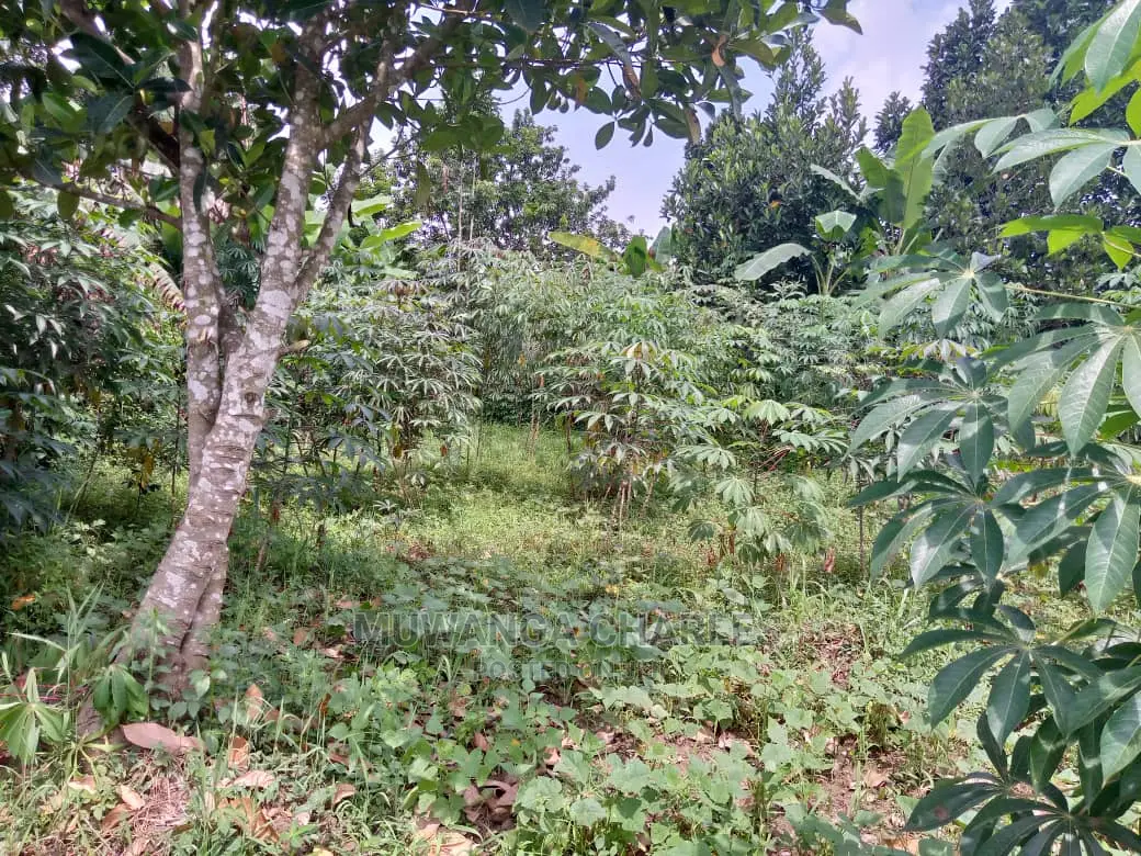 70acres of Land in Sanga Bumbale on Quick Sale