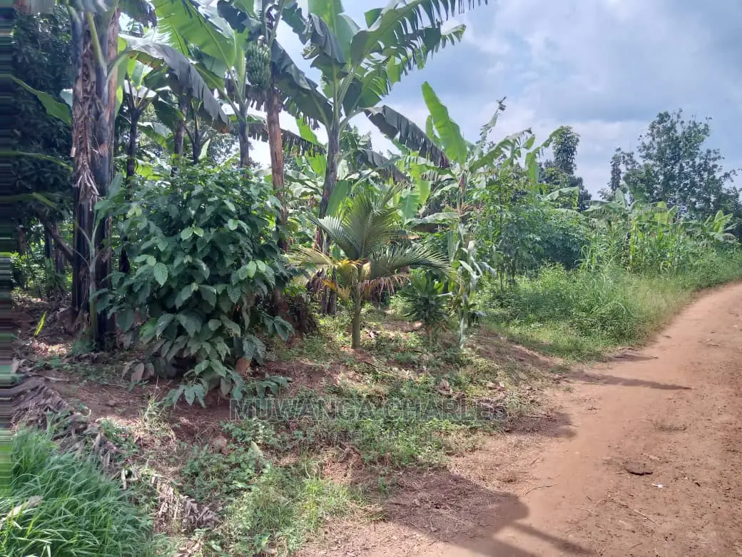 70acres of Land in Sanga Bumbale on Quick Sale