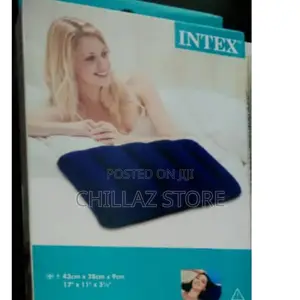 Photo - Intex Camping Inflatable Air Bed With 2 Pillows and Pump.