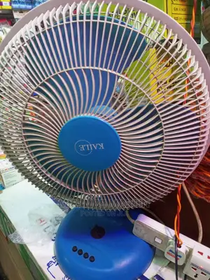 Kaile Strong Fan
