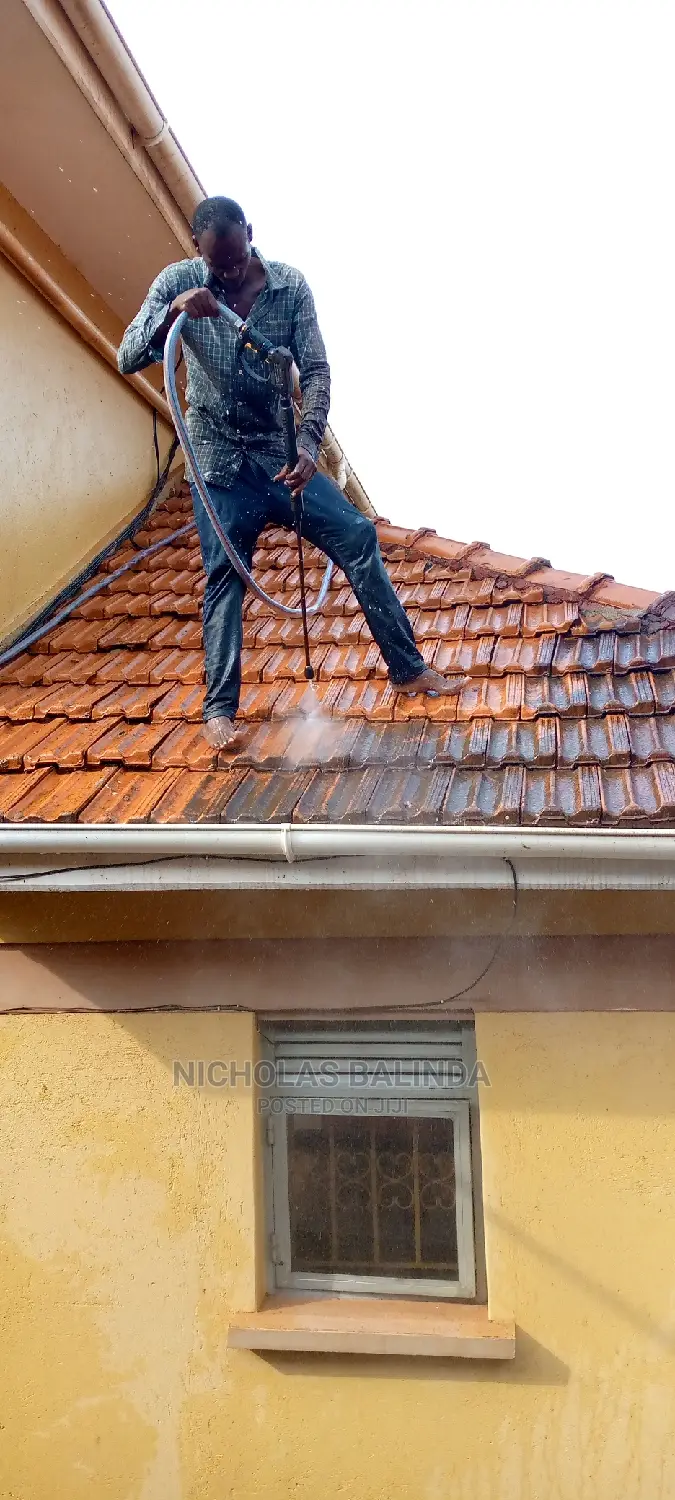 Cleaners for Roof Tiles