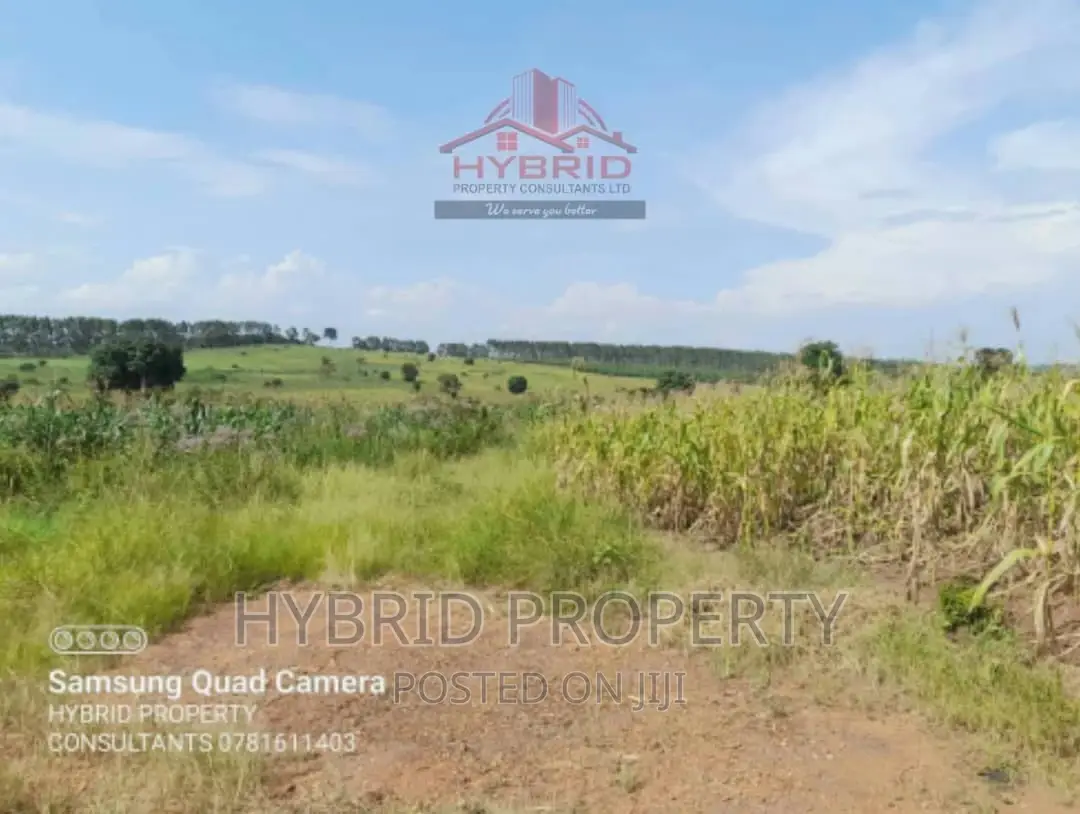 Fertile 640acres for Rent at Busunju~Sekanyonyi Hoima Road.