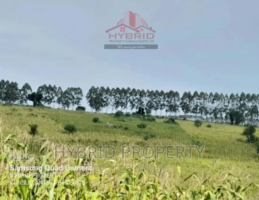 Fertile 640acres for Rent at Busunju~Sekanyonyi Hoima Road.