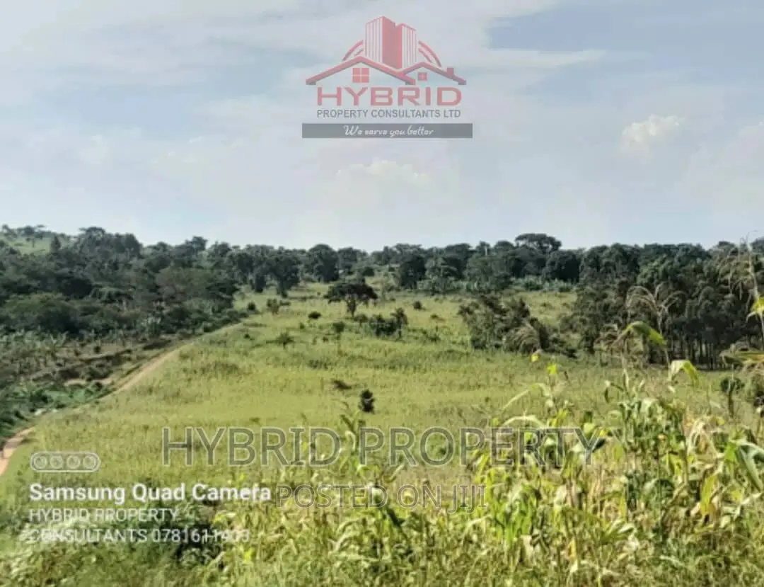 Fertile 640acres for Rent at Busunju~Sekanyonyi Hoima Road.