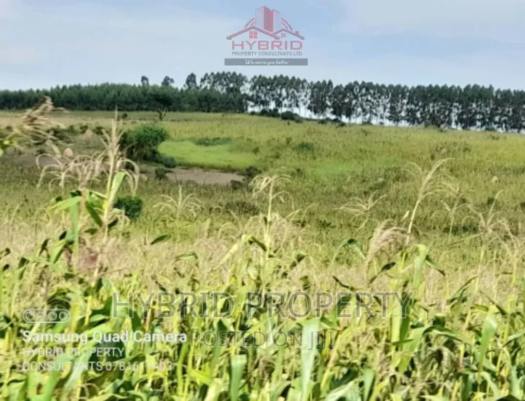 Fertile 640acres for Rent at Busunju~Sekanyonyi Hoima Road.