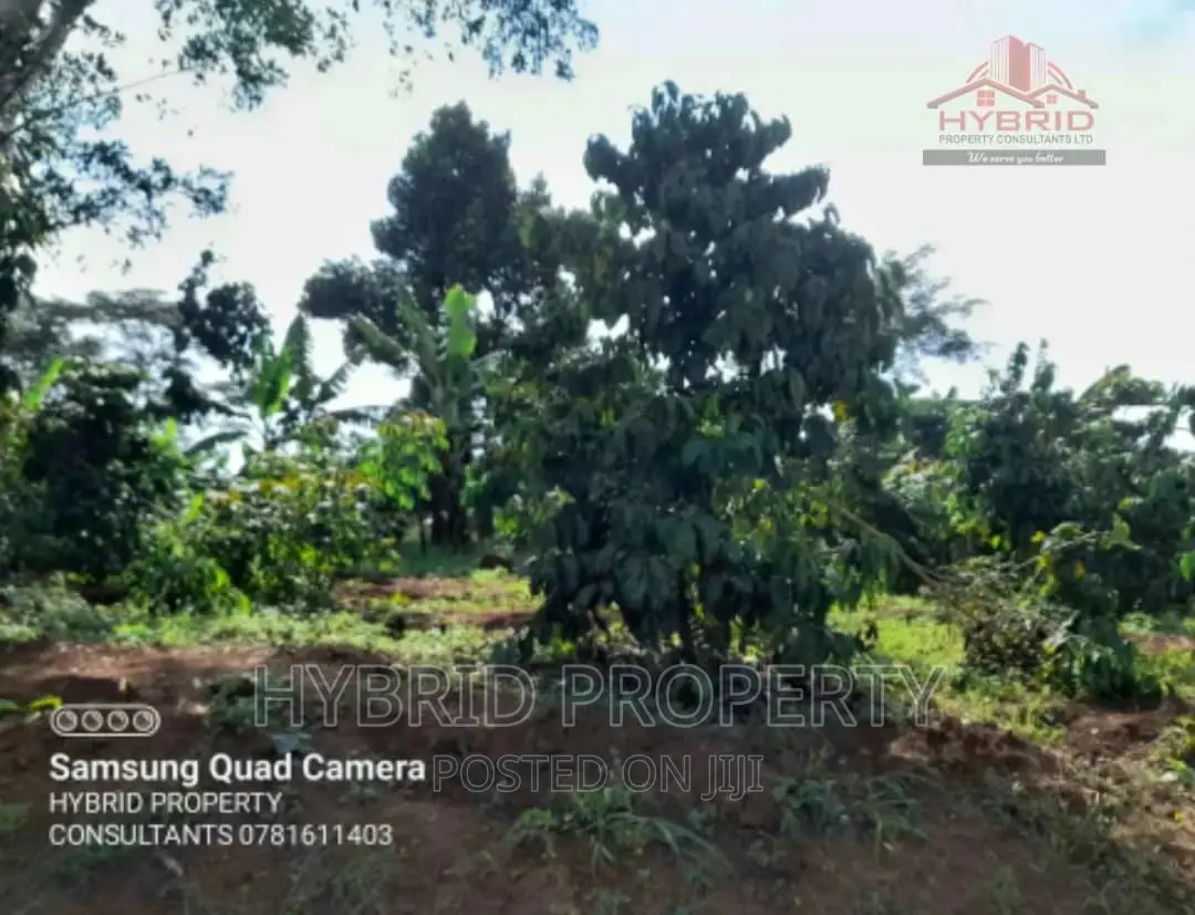 Fertile 640acres for Rent at Busunju~Sekanyonyi Hoima Road.