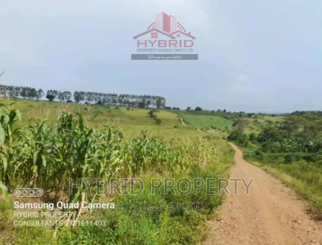 Fertile 640acres for Rent at Busunju~Sekanyonyi Hoima Road.