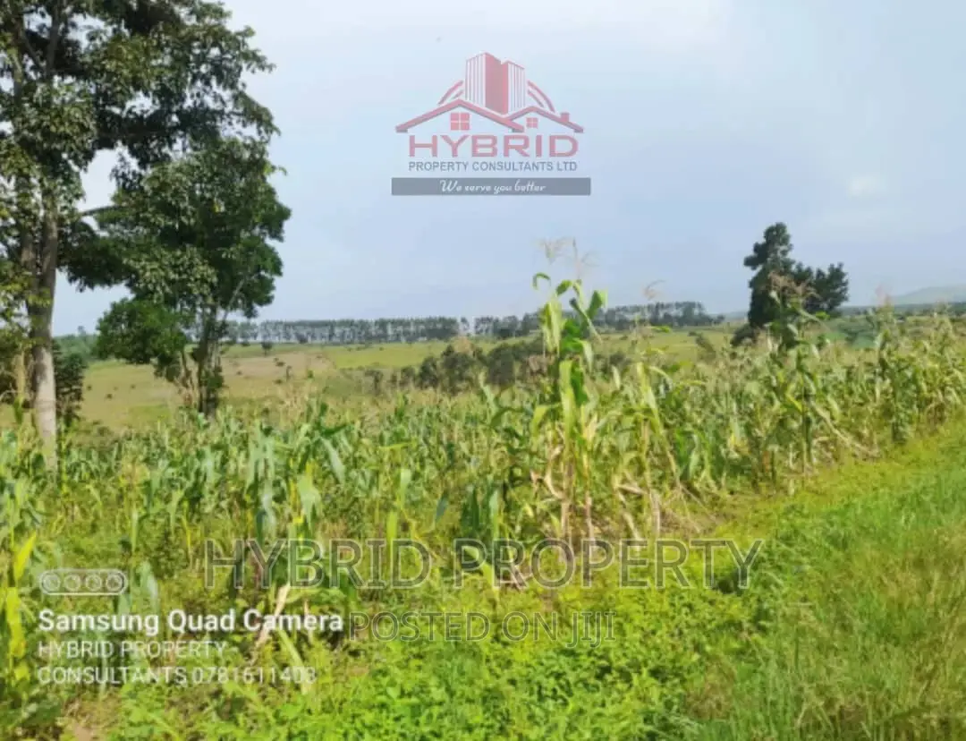 Fertile 640acres for Rent at Busunju~Sekanyonyi Hoima Road.