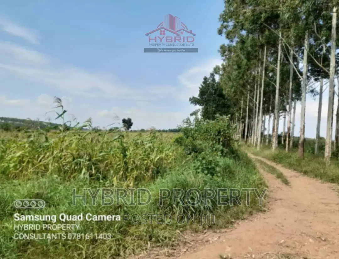 Fertile 640acres for Rent at Busunju~Sekanyonyi Hoima Road.
