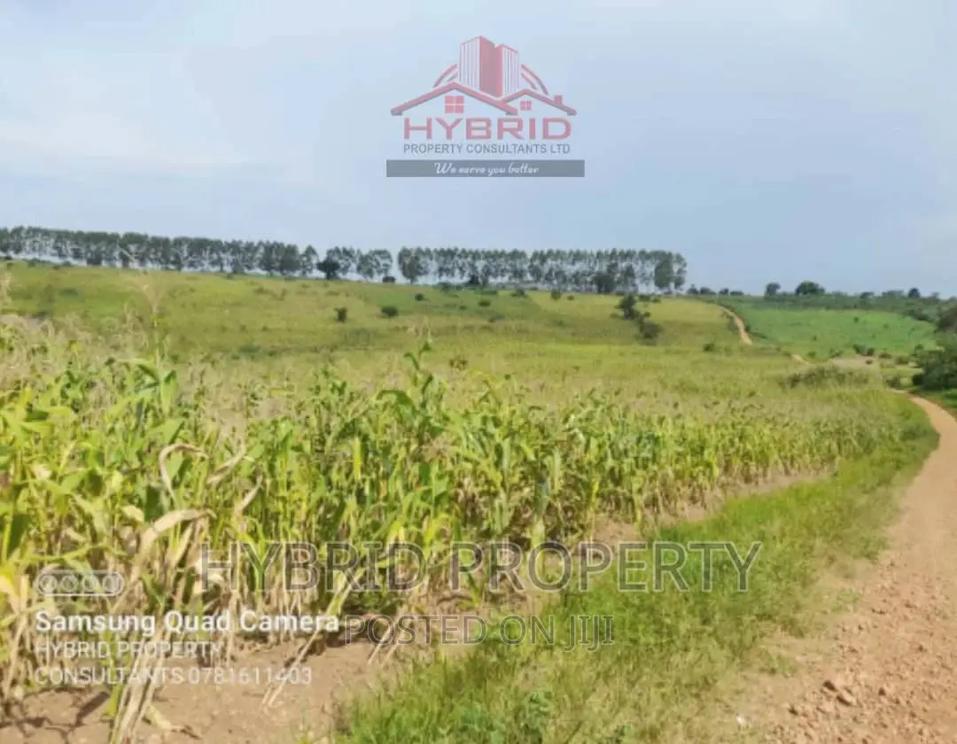 Fertile 640acres for Rent at Busunju~Sekanyonyi Hoima Road.