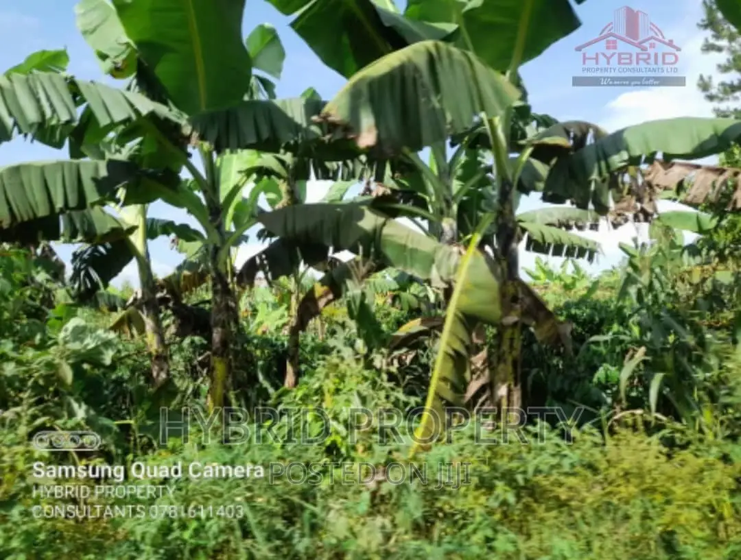 Fertile 640acres for Rent at Busunju~Sekanyonyi Hoima Road.
