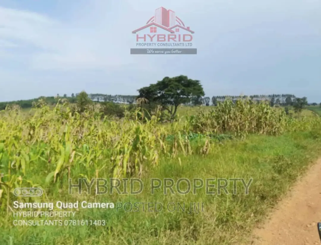 Fertile 640acres for Rent at Busunju~Sekanyonyi Hoima Road.