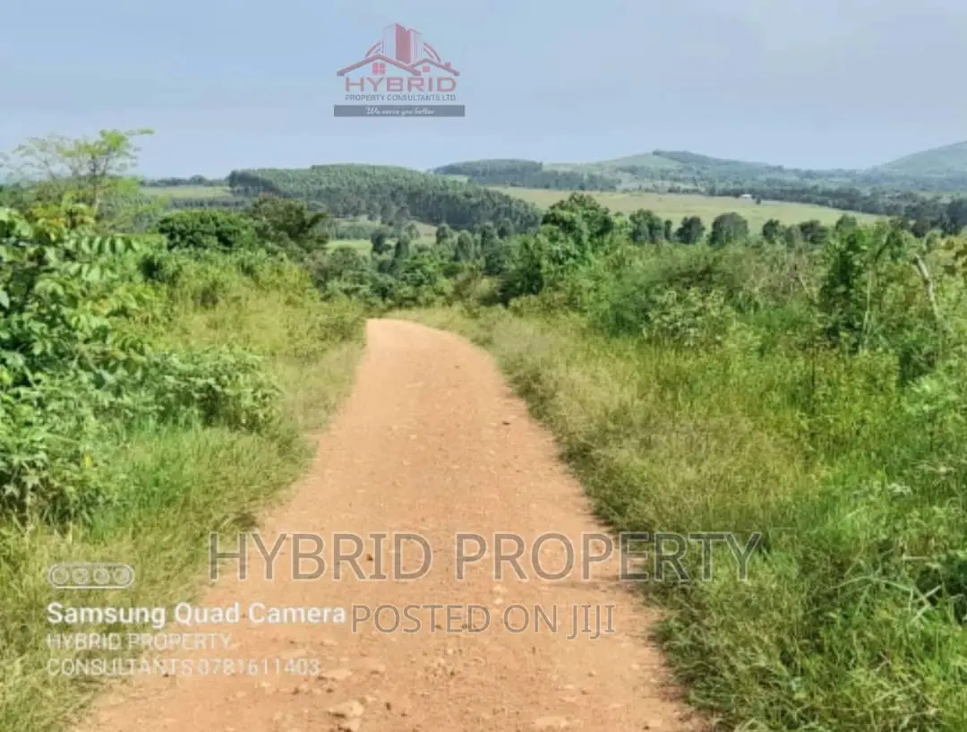 Fertile 640acres for Rent at Busunju~Sekanyonyi Hoima Road.