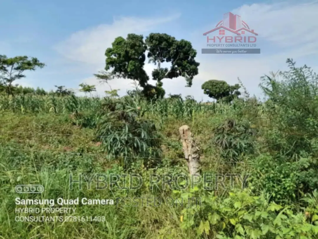 Fertile 640acres for Rent at Busunju~Sekanyonyi Hoima Road.