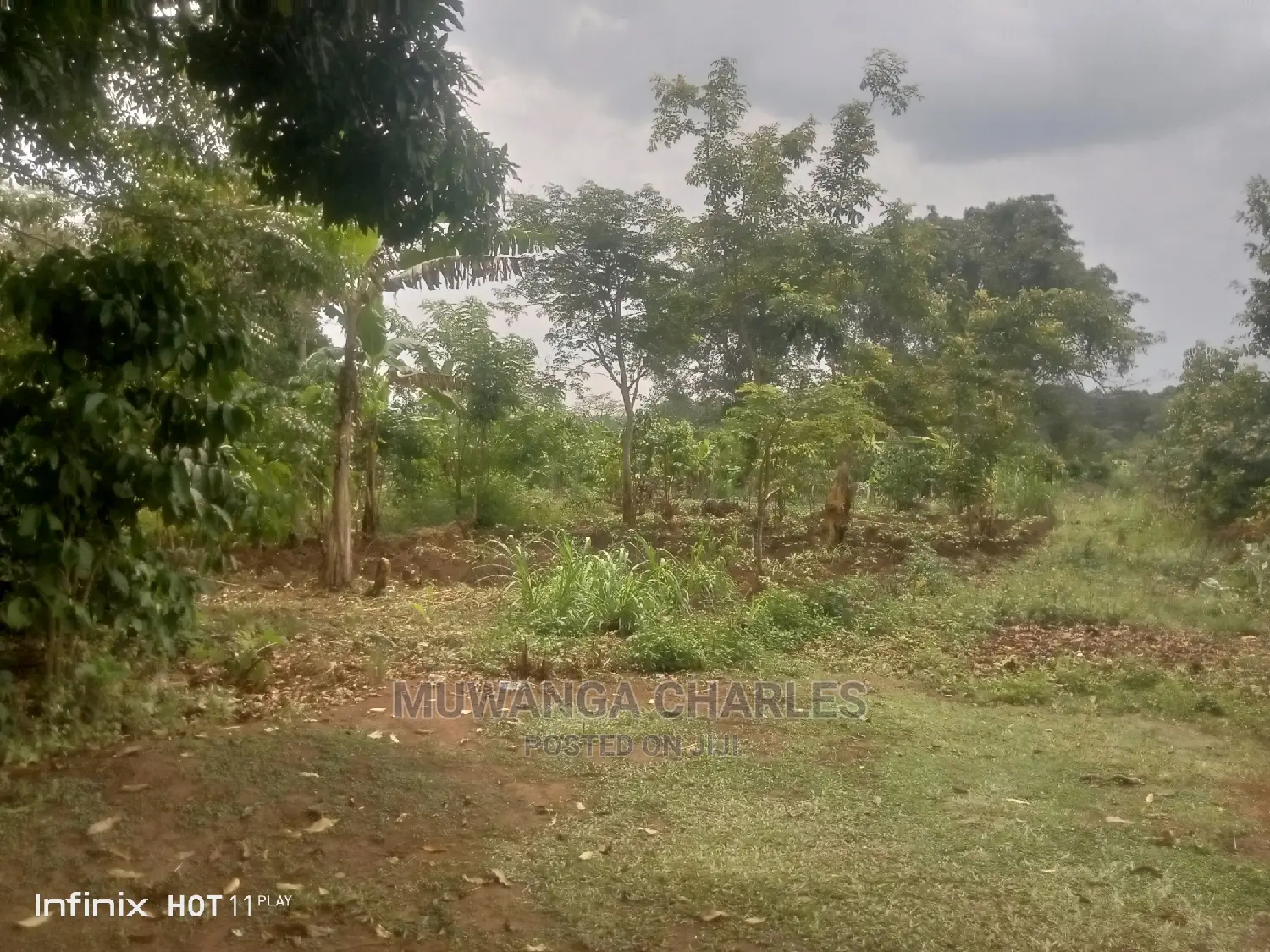 2acres of Land in Wobulenzi Luwero on Quick Sale
