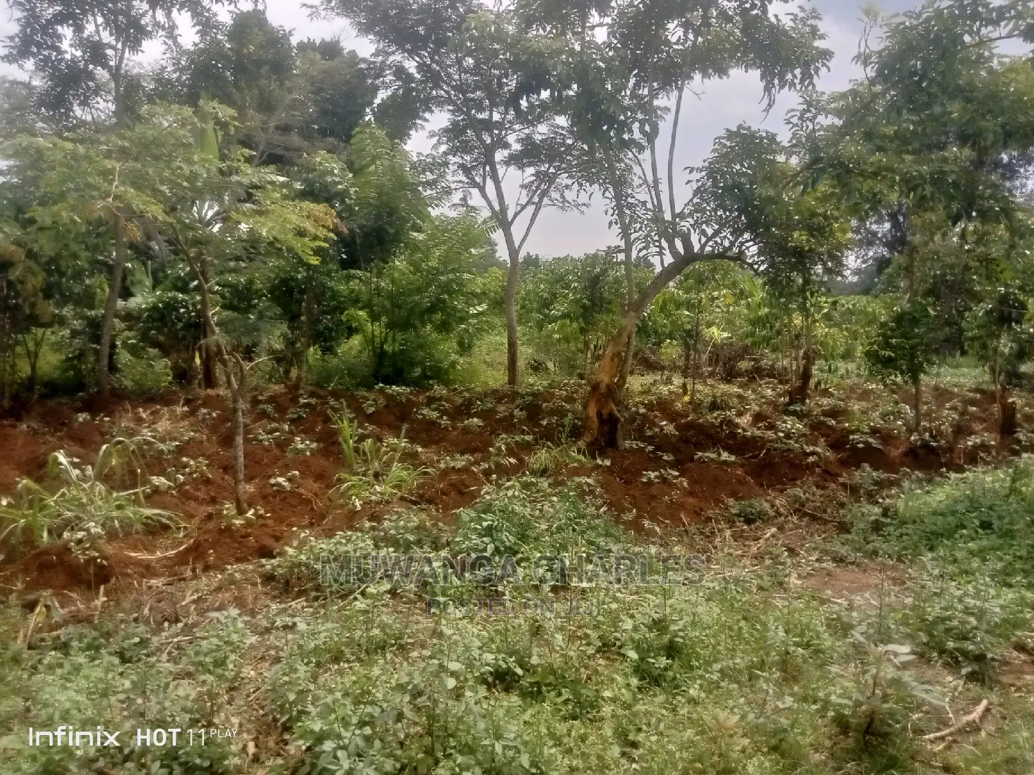 2acres of Land in Wobulenzi Luwero on Quick Sale
