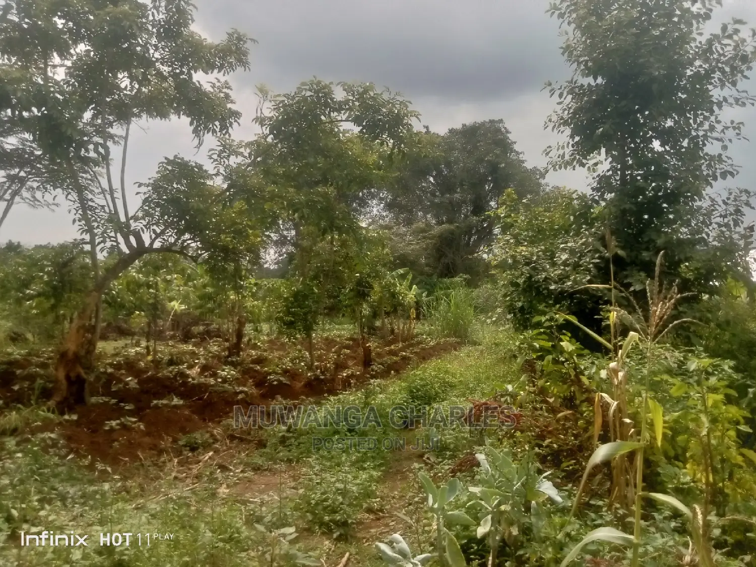 2acres of Land in Wobulenzi Luwero on Quick Sale