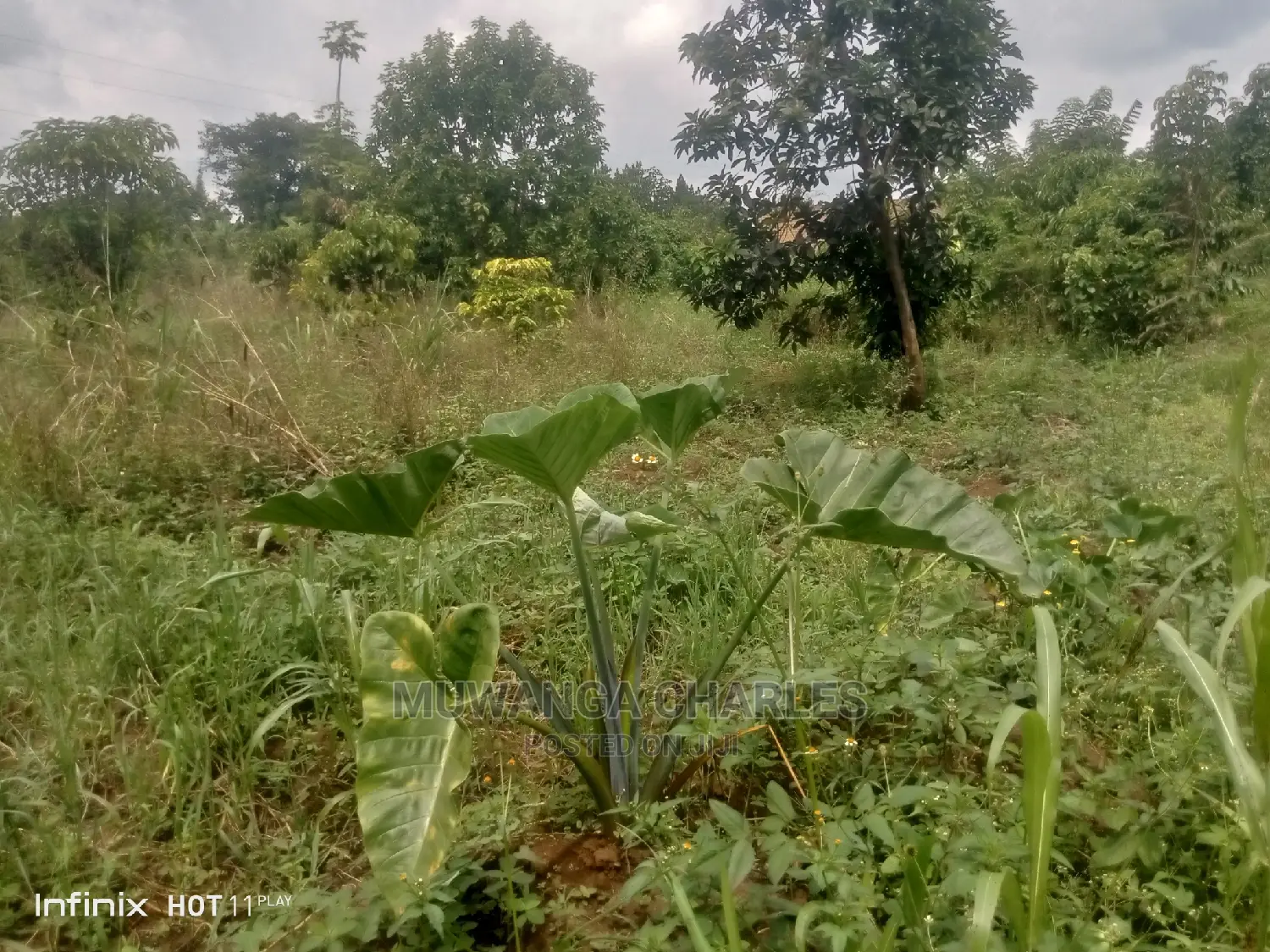 2acres of Land in Wobulenzi Luwero on Quick Sale