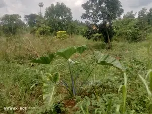 2acres of Land in Wobulenzi Luwero on Quick Sale