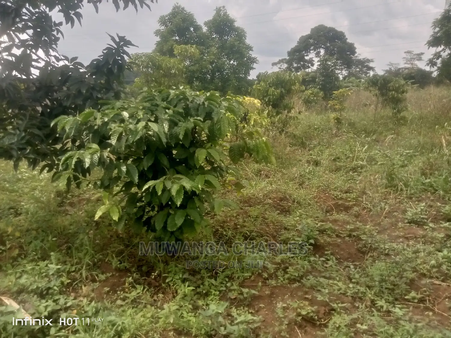 2acres of Land in Wobulenzi Luwero on Quick Sale