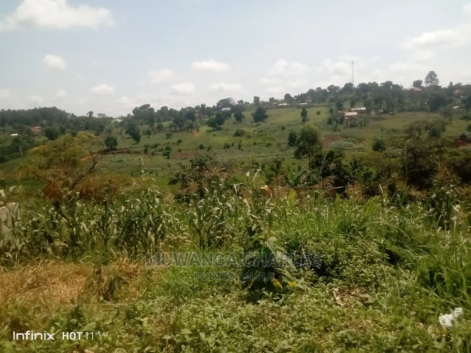 7acres of Land in Mattuga on Quick Sale