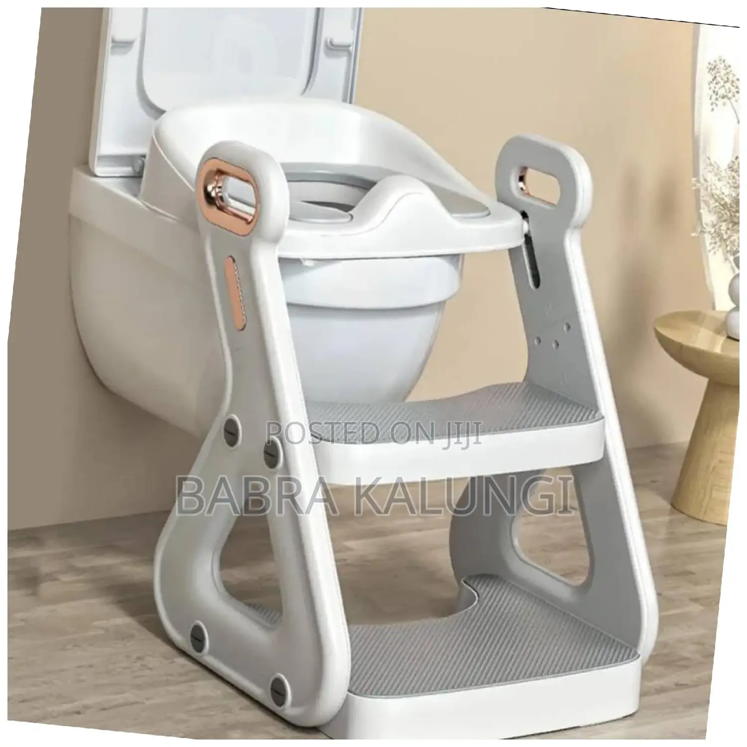 Baby Toilet Training