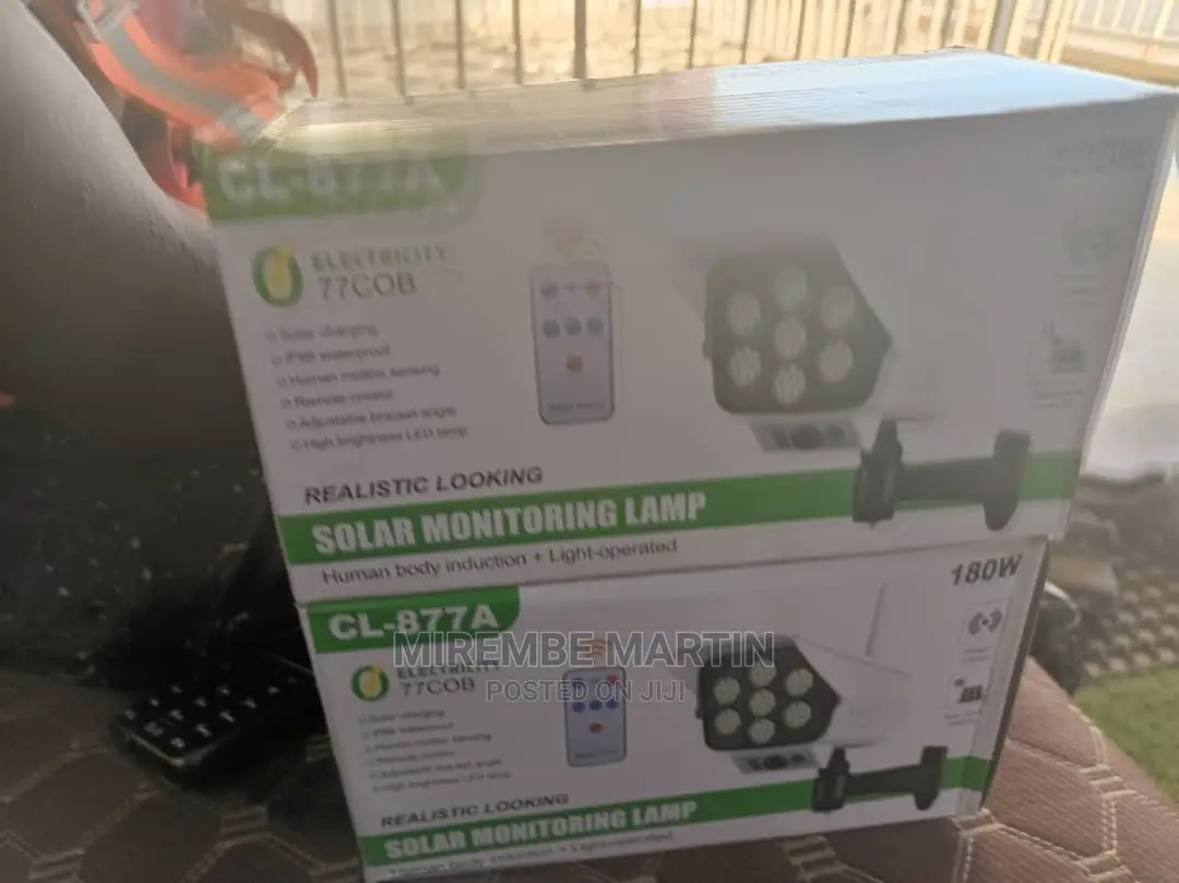 Solar Monitoring Lamp