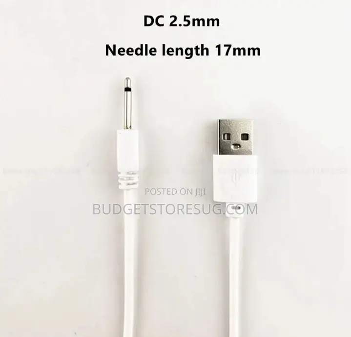 2.5mm Sex Toy Vibrator Small Pin Usb Charger