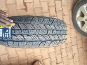 235/65r17 Roadm