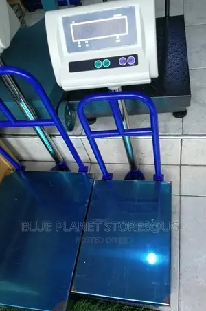 Industrial Digital Platform Weighing Scale \\ 200gm - 300kgs