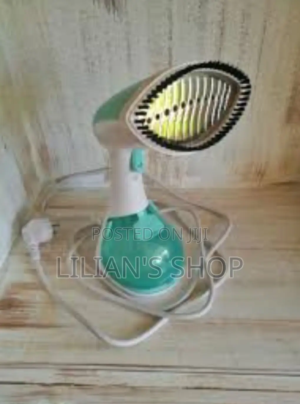 Hand Iron Steamer